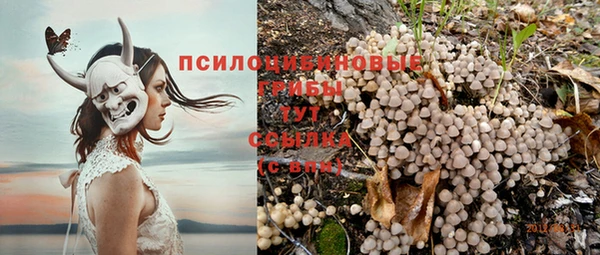 ешки Алзамай