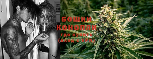 дурь Осташков