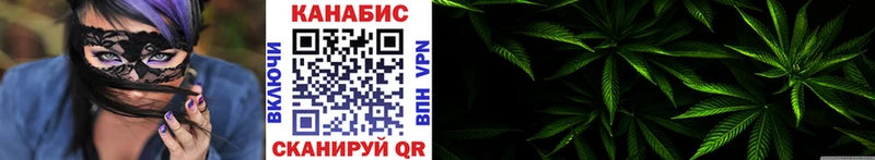 где найти наркотики  Десногорск  Шишки марихуана сатива 
